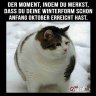 hans_haller