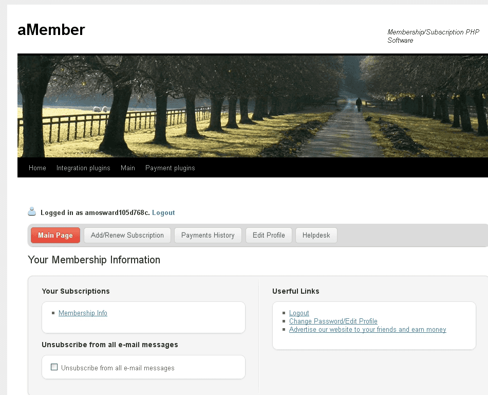 Wordpress Theme integration