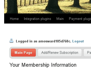 Wordpress Theme integration
